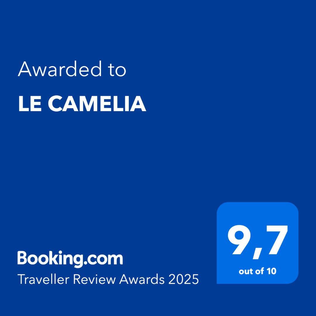Le Camelia Villa Saint-Viâtre Eksteriør bilde